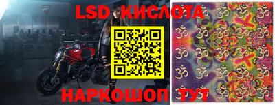 ALPHA PVP Гусев