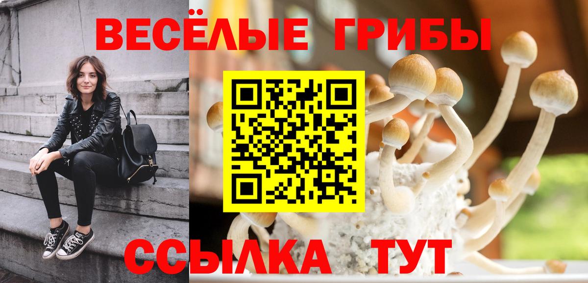 Галлюциногенные грибы мицелий  Псилоцибиновые грибы ЛСД  купить   Набережные Челны  Вход с VPN 